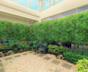 Fortune Hill Landscaped Lobby Courtyard